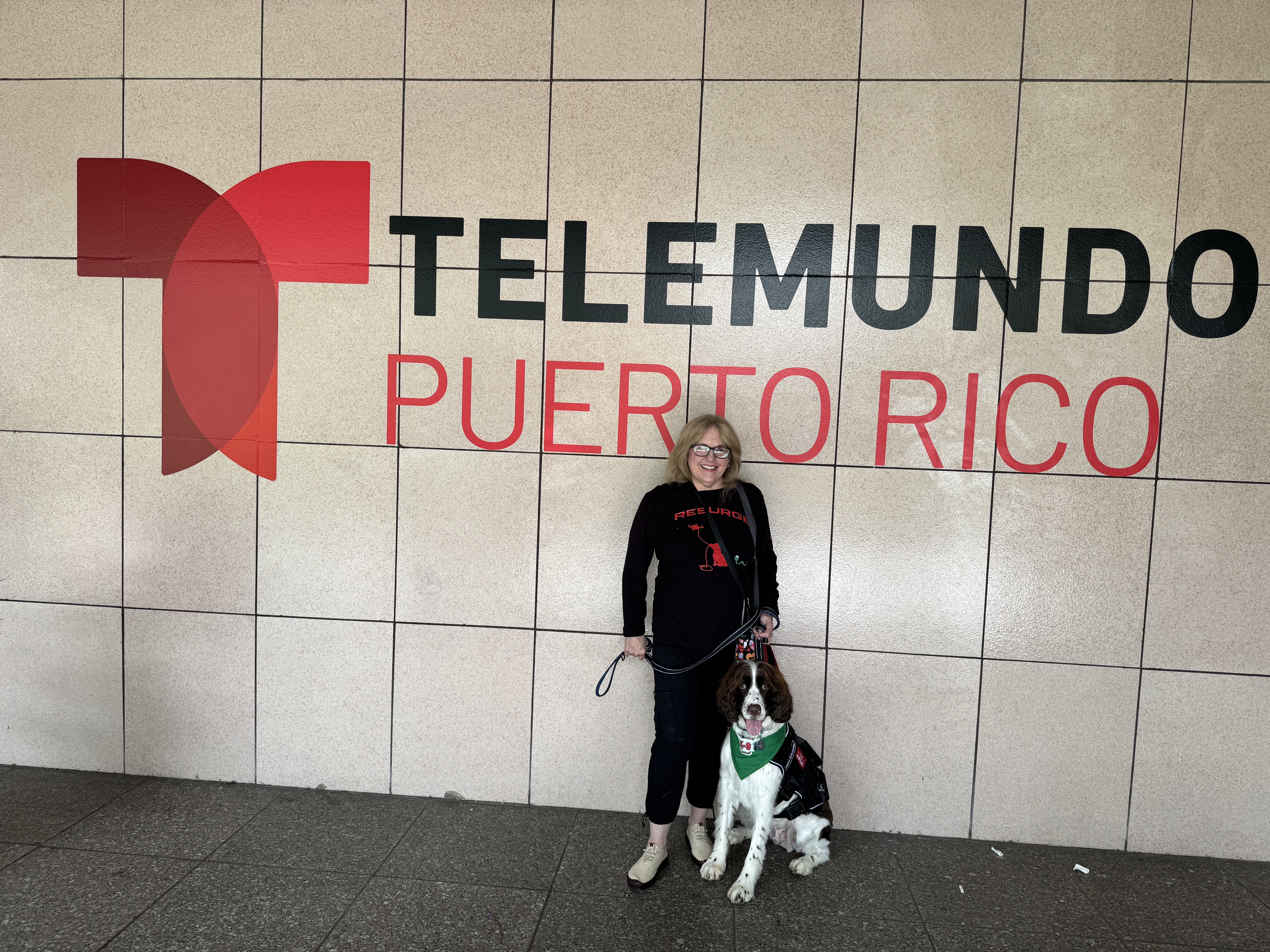 Perro de búsqueda y rescate